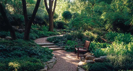 Sensory Garden