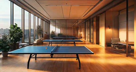 Table Tennis Area