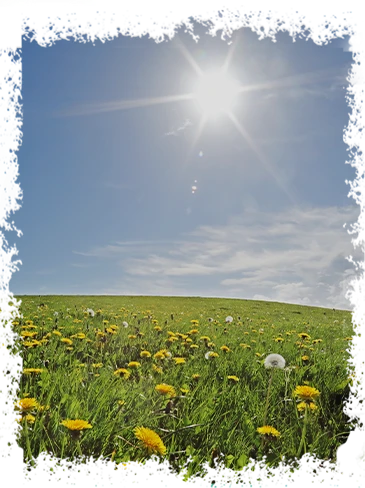 4.75 Acres Green Amenities